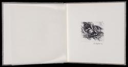 To Henry Beston, the author of The Outermost House