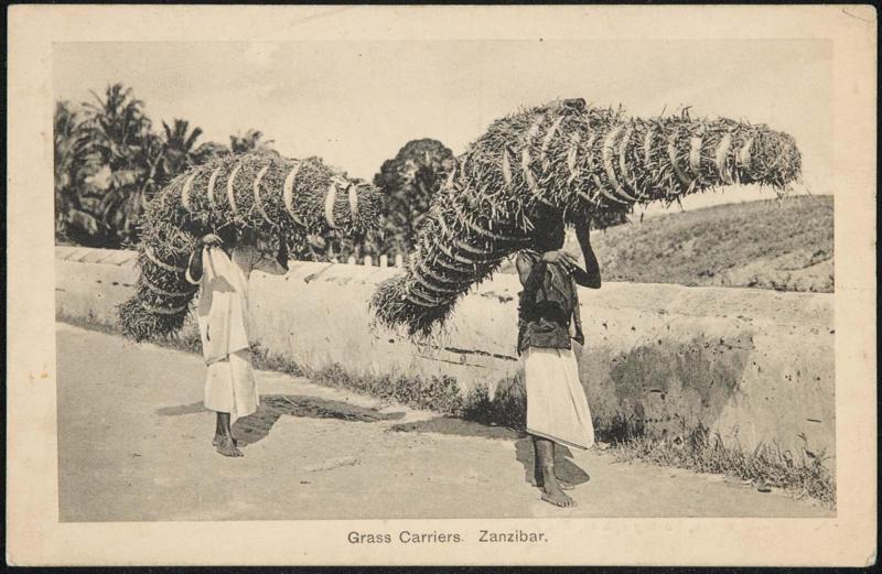 Grass Carriers. Zanzibar.