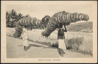 Grass Carriers. Zanzibar.