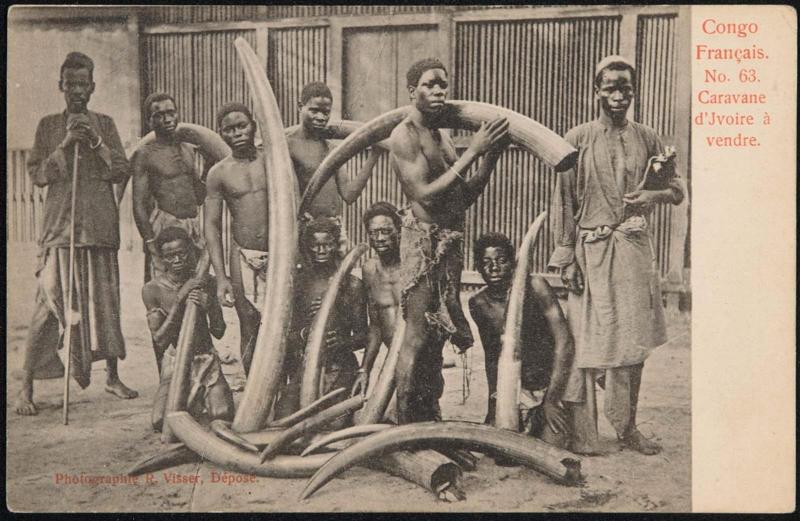 Congo Français. Caravane d'Ivoire à vendre.