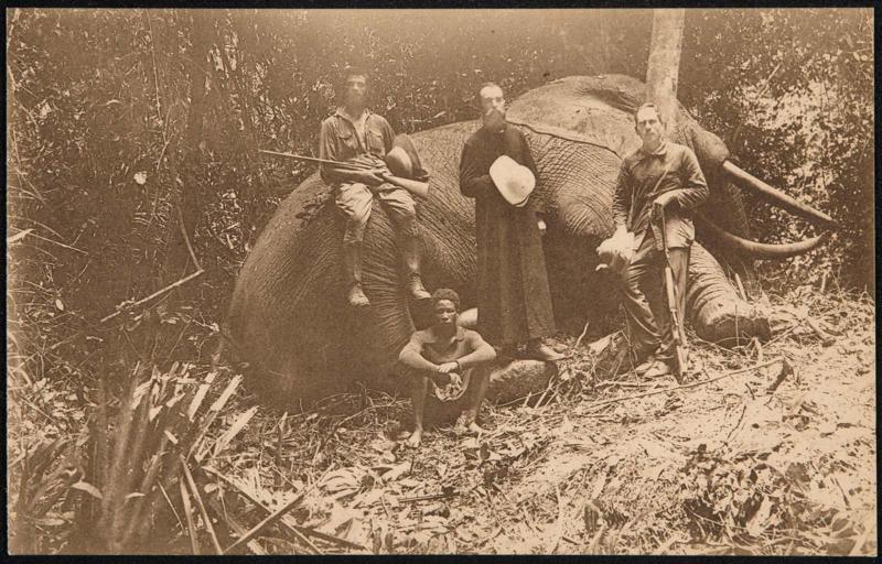 Een geschoten olifant (Konogolo).