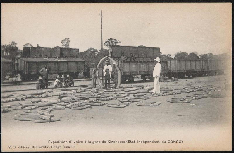 Expédition d'ivoire à la gare de Kinshassa (Etat indépendant du CONGO)