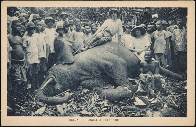 GABON - CHASSE A L'ÉLÉPHANT