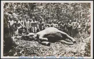 CONGO-BELGE - KAPANGA. Un Éléphant tué par Soldats