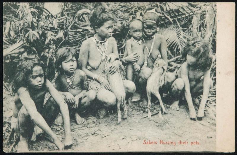 Sakeis Nursing their pets.
