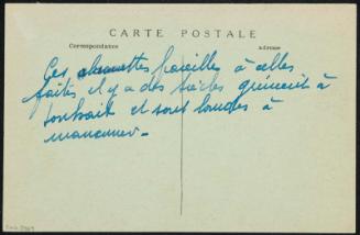 TONKIN - HANOI. Conducteur de brouette transport des cochons.