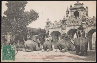ANNAM - Hué - Eléphants s'agenouillant, faisant les laïs en passant devant le Palais du Comat