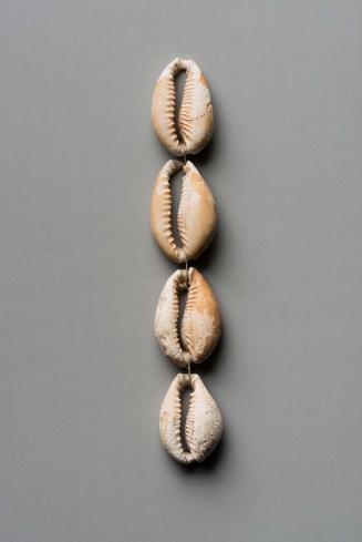 Fragment of a cowrie belt