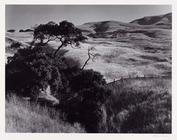 Ranchland, Big Sur