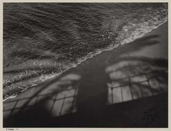 Nice (Palm Shadow on Surf)