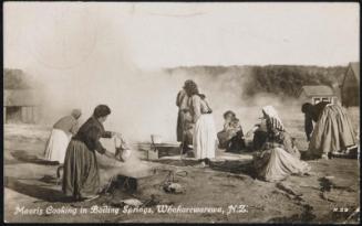 Maoris Cooking in Boiling Springs, Whakarewarewa, N.Z.