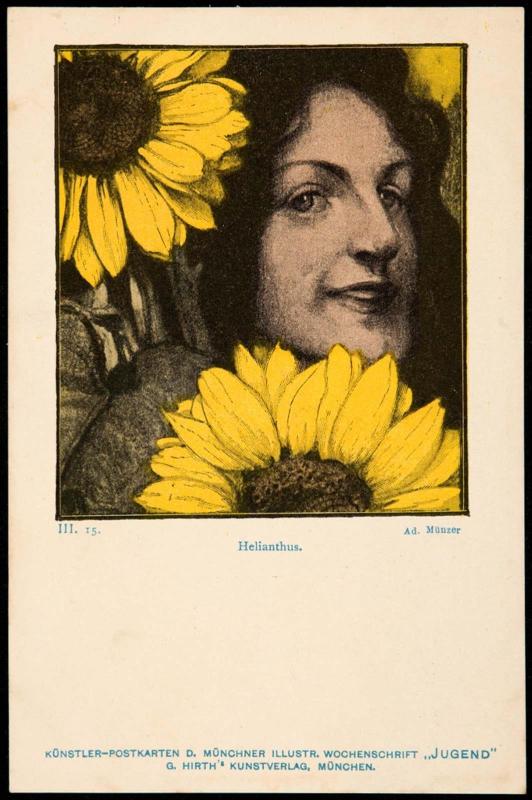 Helianthus