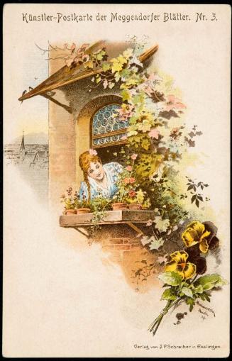Window flowers