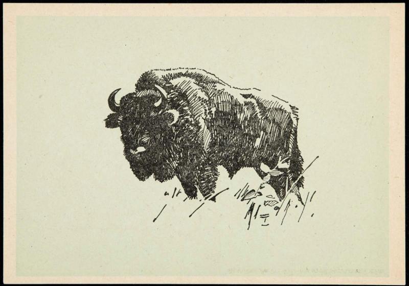 Buffalo