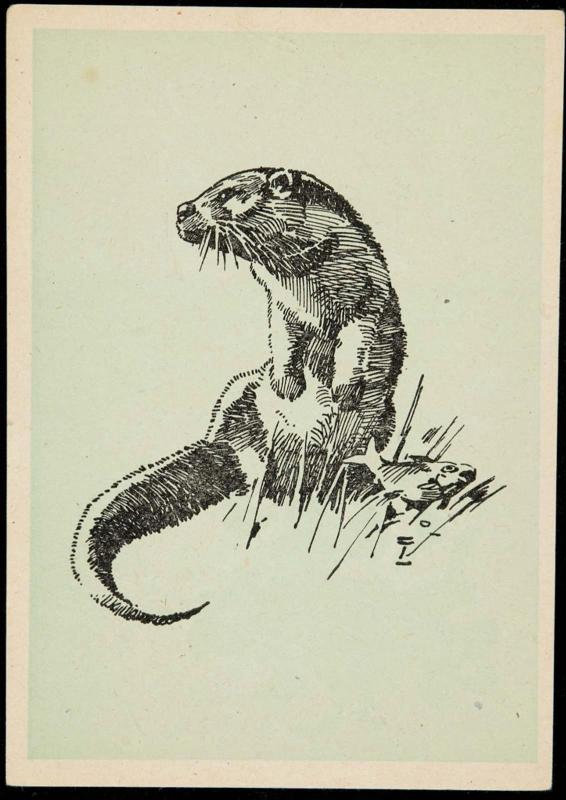 Otter