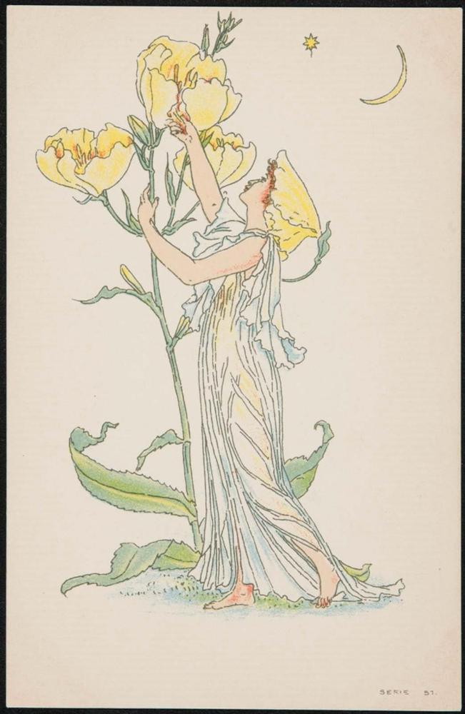 Primrose, from a series based on Flora’s Feast