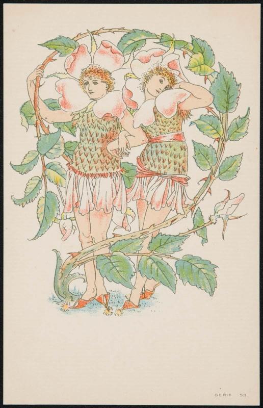 Roses, from a series based on Flora’s Feast