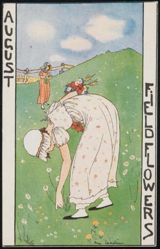 August; Field Flowers