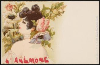 L'Anémone
