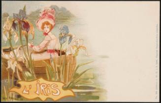L'Iris
