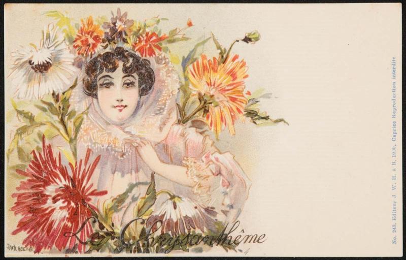 Le Chrysanthême