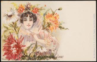 Le Chrysanthême