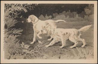 Dogs on pursuit