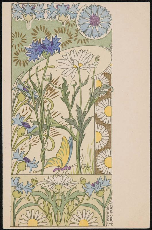 Bleuet et Marguerite