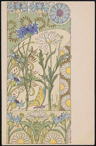 Bleuet et Marguerite