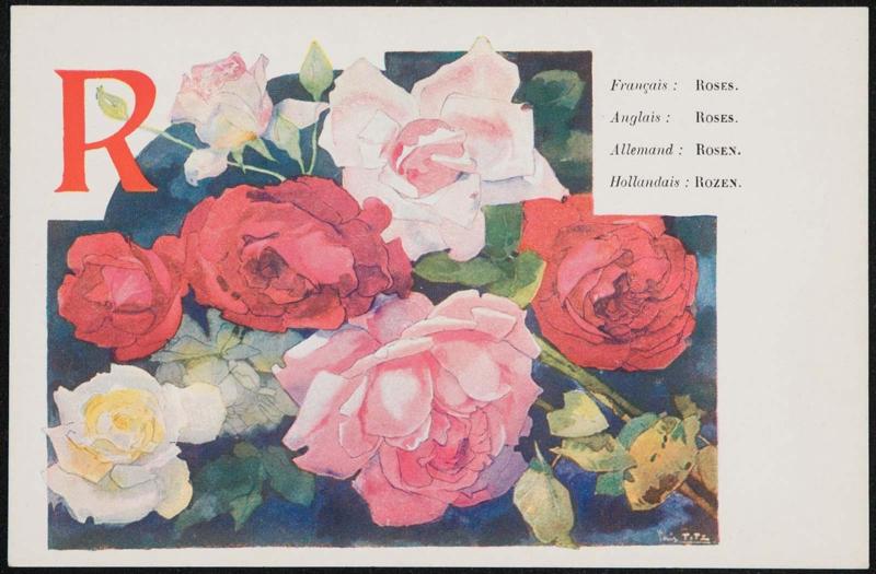 R; Roses