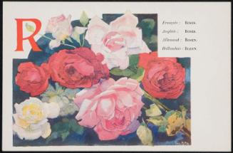 R; Roses