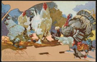 Turkeys