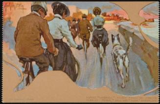 Cycling with dogs