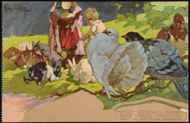 Feeding rabbits