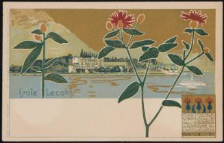 Isole Lecchi