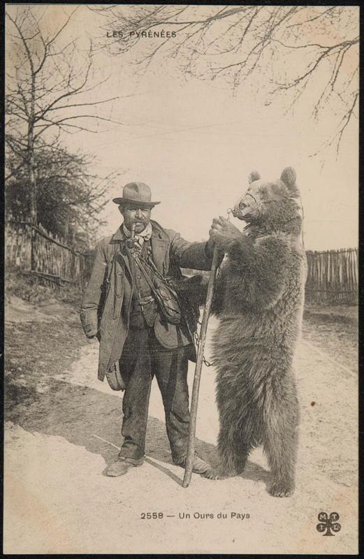 Les Pyrénées; Un Ours du Pays