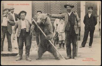 Toutes les Pyrénées; Tarbes; Montreurs d'Ours