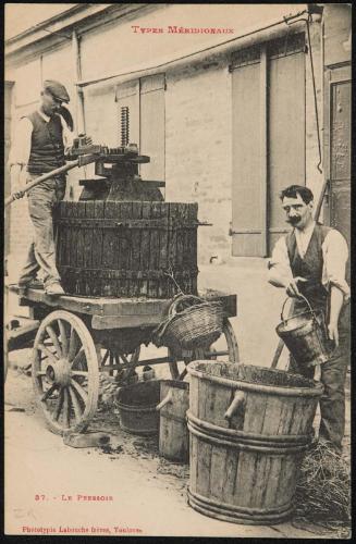 Types Méridionaux; Le Pressoir