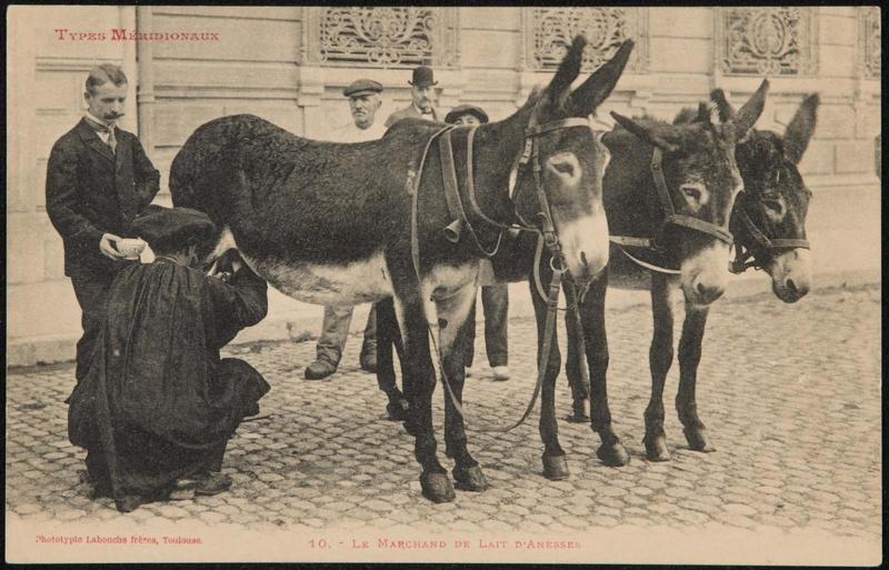 Types Méridionaux; Le Marchand de Lait d'Anesses
