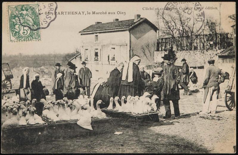 Parthenay, le Marché aux Oies