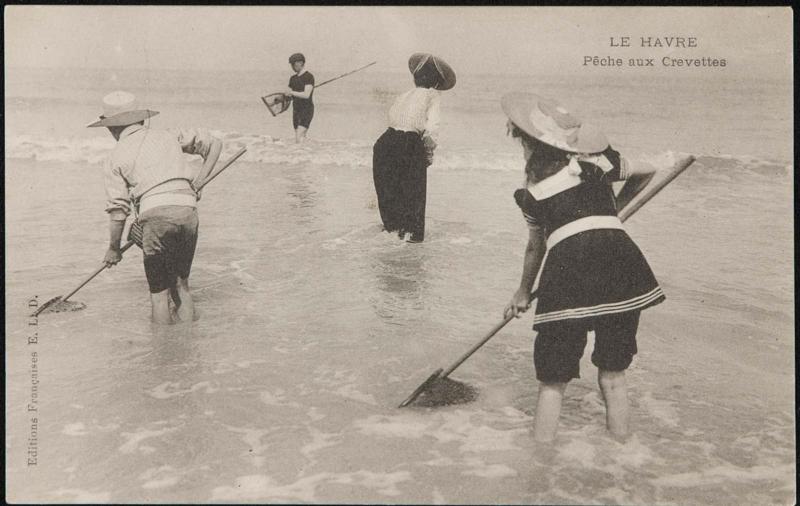 Le Havre; Pêche aux Crevettes