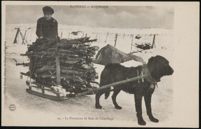 La Provision de Bois de Chauffage