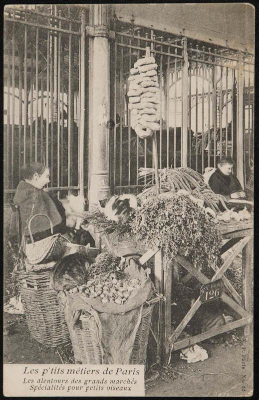 Les alentours des marchés marchés Spécialités pour petits oiseaux