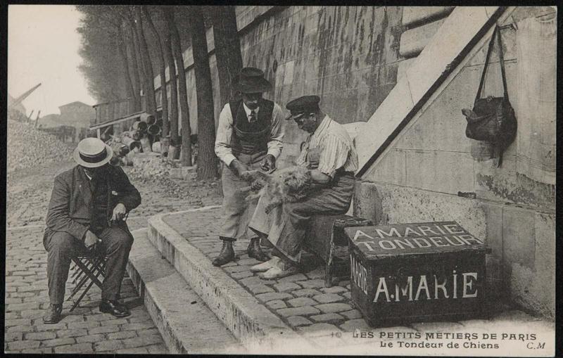 Le Tondeur de Chiens