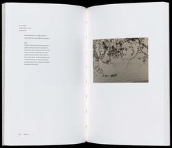 Japanese American Photography