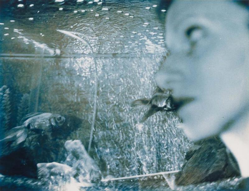 "Aquarium", from the series "Miracles of Everyday Life"