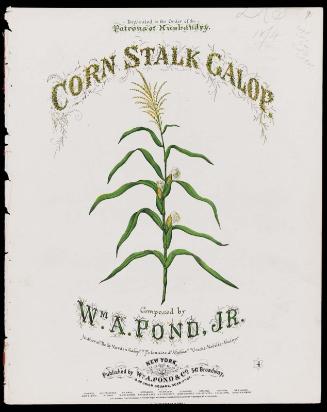 Corn Stalk Galop