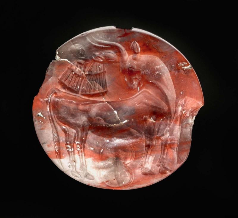 Lentoid seal with a bull