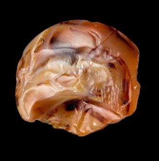 Lentoid seal with a lion attacking a bull