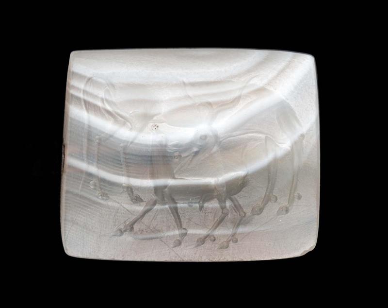 Flattened cylinder seal with a cow suckling a calf